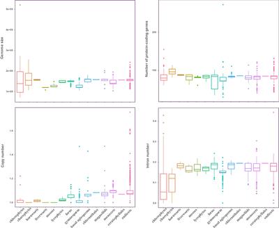 Comparative Analyses of 3,654 Plastid Genomes Unravel Insights Into Evolutionary Dynamics and Phylogenetic Discordance of Green Plants